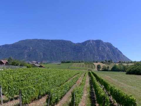 Décoration et Aménagement d'intérieur Porte-de-Savoie